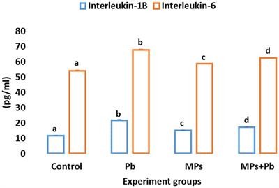 Toxicity of co-exposure of microplastics and lead in African catfish (Clarias gariepinus)
